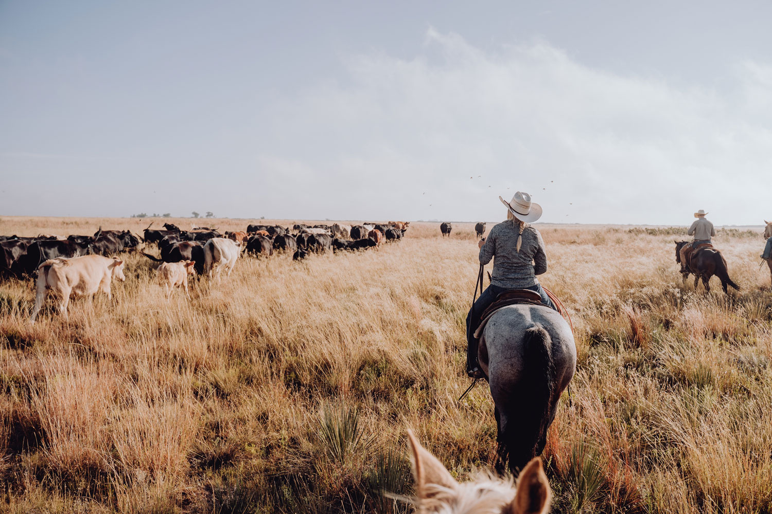Texas Land Brokerage - The Texas Land Brokerage Difference Image